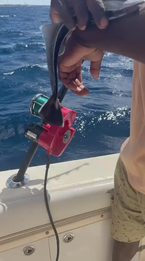 Excursión de pesca de altura y curricán de día completo en Curazao