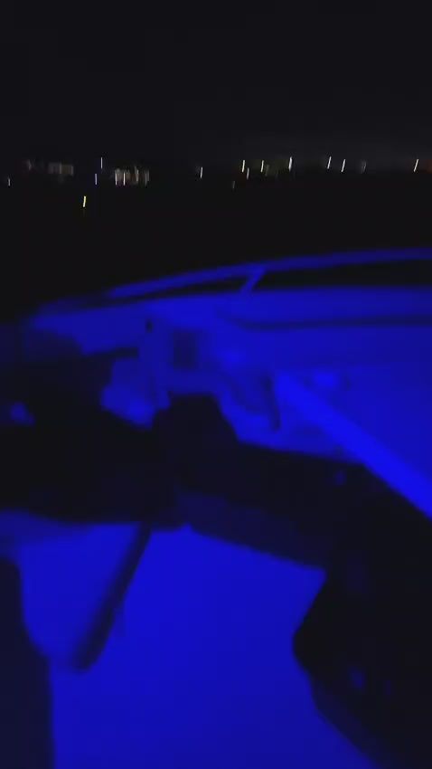 Full Moon Experience