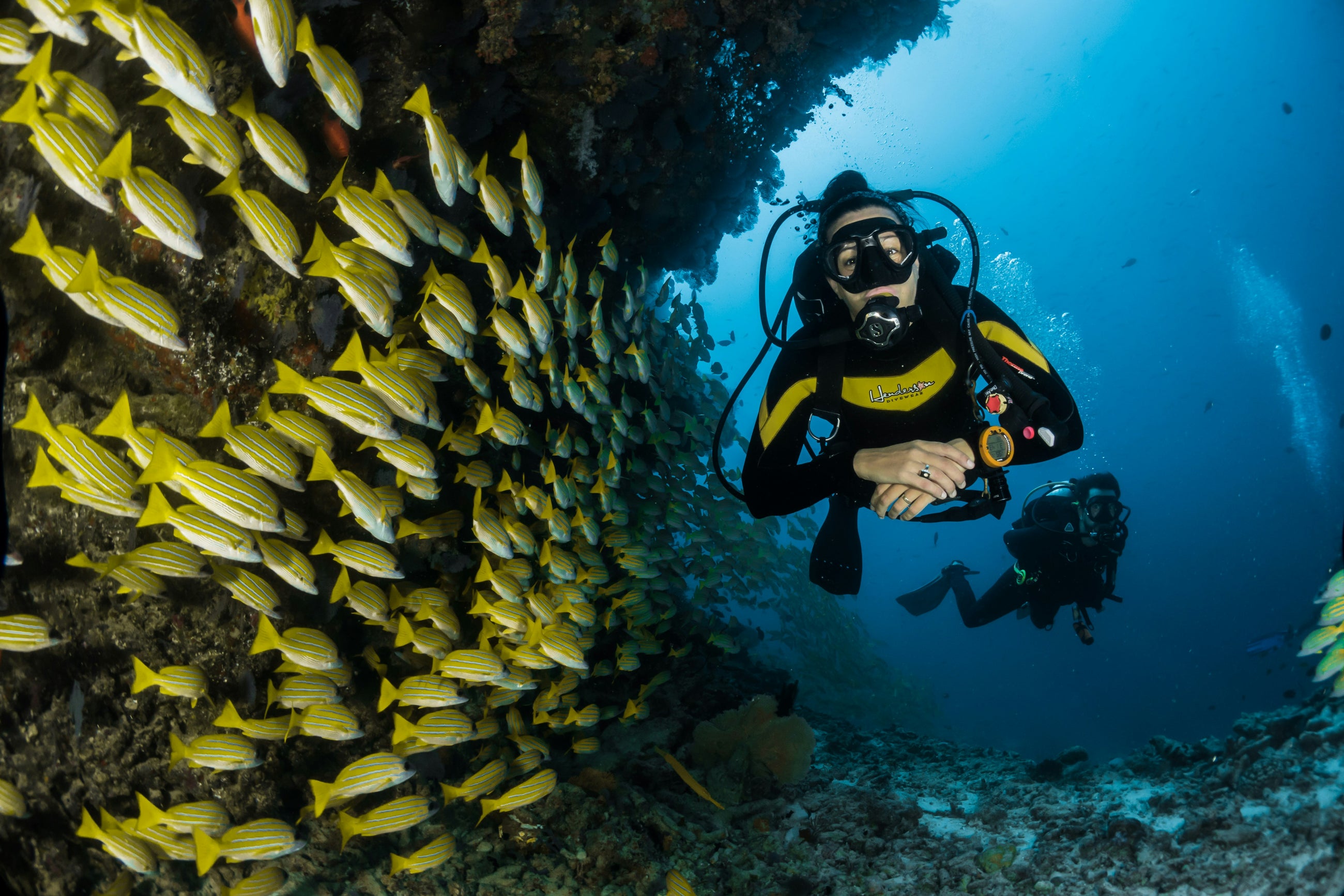 Curaçao Diving Adventure – 2 Premium Dive Spots by 33ft Boat